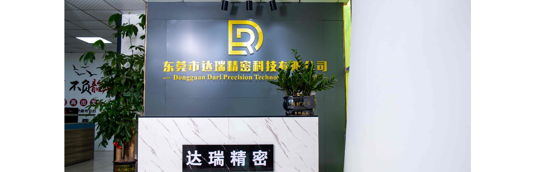 Πλαστικό καλούπι, χύτευση με έγχυση, πλαστικό κέλυφος,Dongguan Darui Precision Technology Co., Ltd.